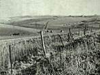 1946 Lower Bevendean before development view NE