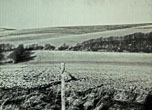 1946 Lower Bevendean Before Development view NW