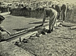 1953-09-07 Lower Bevendean Industrial Area road construction-1