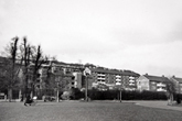 1952 Building Flats on the Bates Estate