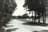 1970c dual-carriageway looking south east towards Coldean Lane