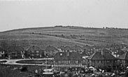 1930s Cow Field towards Juggs Lane