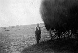 1930s Rees of Lower Bevendean Ave with Hay Cart