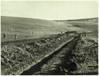 Trench dug along length of road c1954