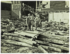 Scavenging Timber for Shuttering c1954
