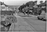 Cows walking down Ashurst Road 1980s