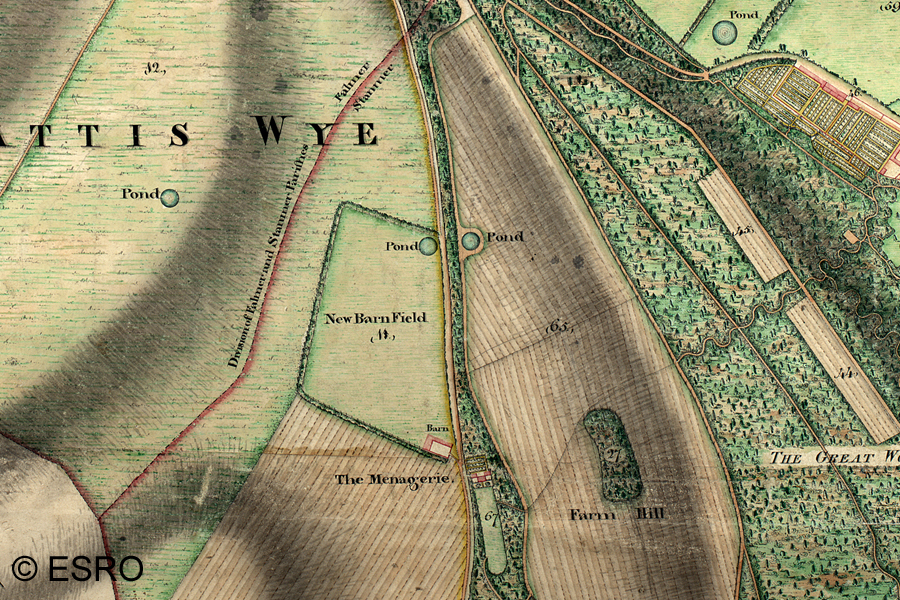 1799 Part of Stanmer Estate Map
