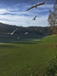 Wild Park on 7 December 2017