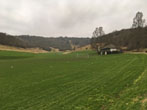 Wild Park on 9 January 2018
