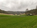 Wild Park on 9 January 2018