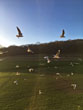 Wild Park on 17 January 2018
