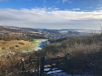 Wild Park on 7 February 2018