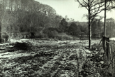 19 January 1955 Wild Park view 3