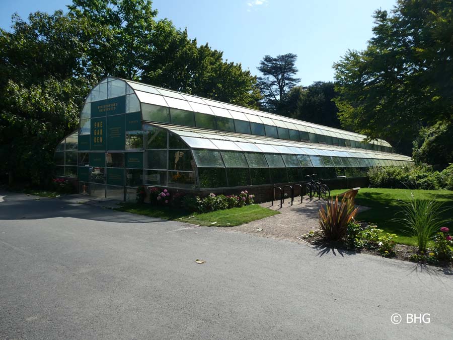 Palm House in 2019