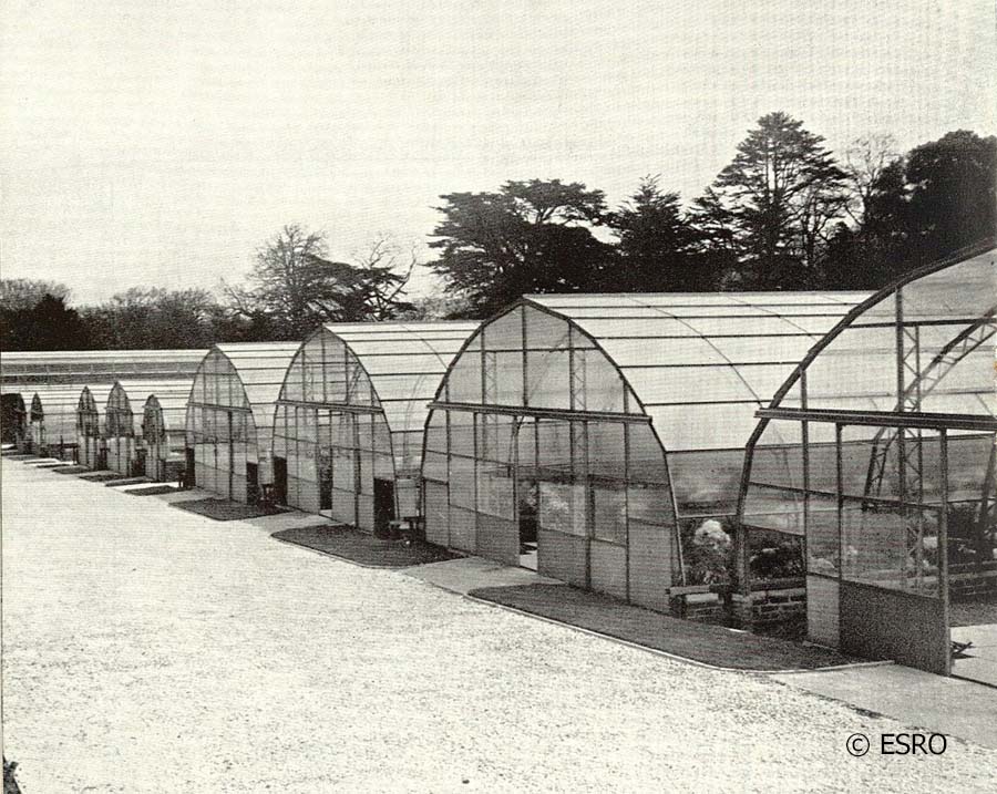 Stanmer Nursery Greenhouses BHMP000043