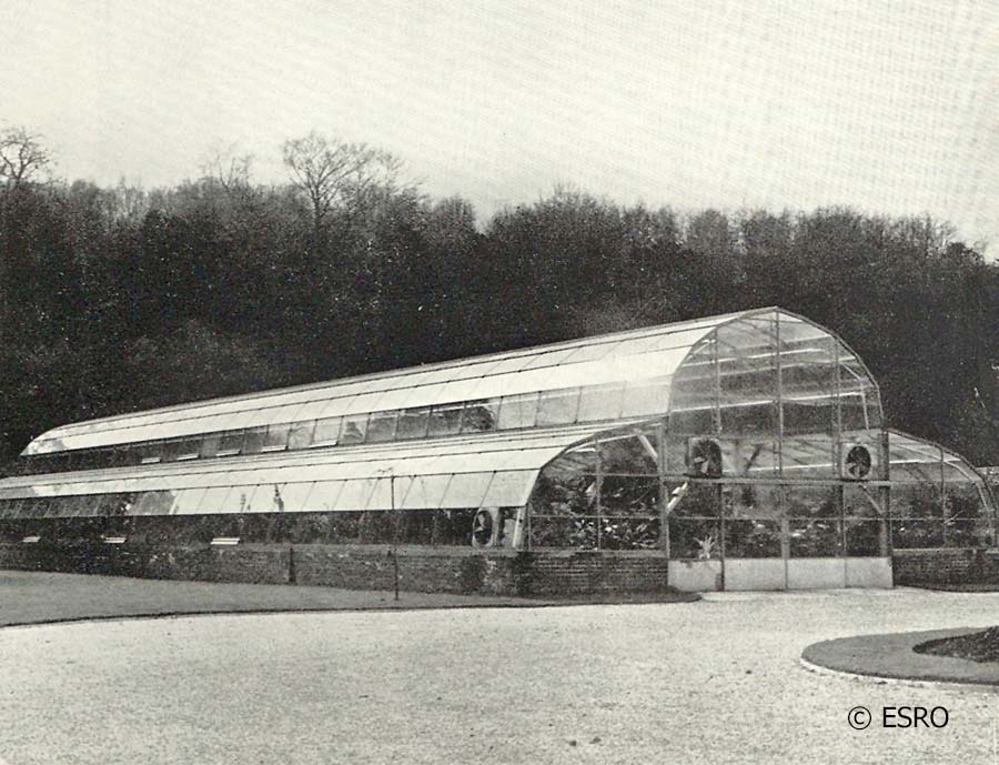 Palm House in 1957 BHTMP000043