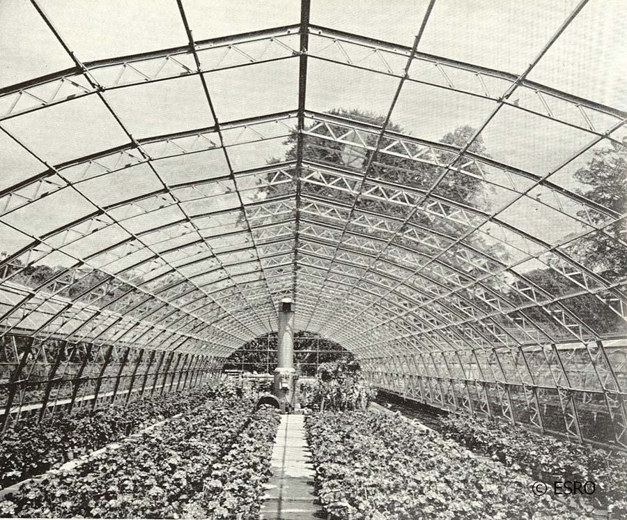 Inside a large greenhouses BHTMP000043