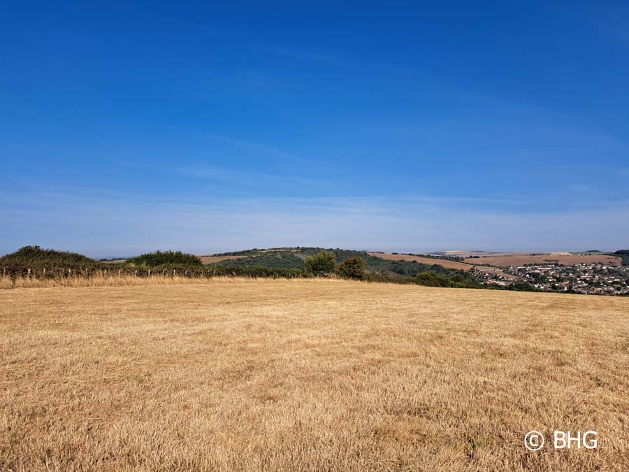 Bevendean Downs towards Hollingbury Camp 084445