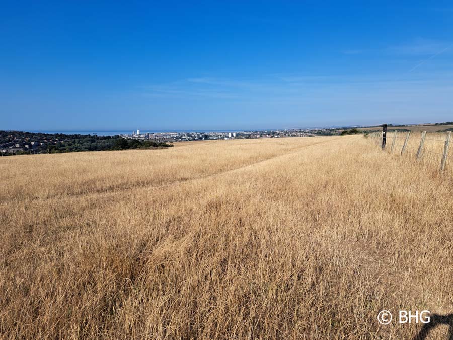 Bevendean Downs towards the sea 084812