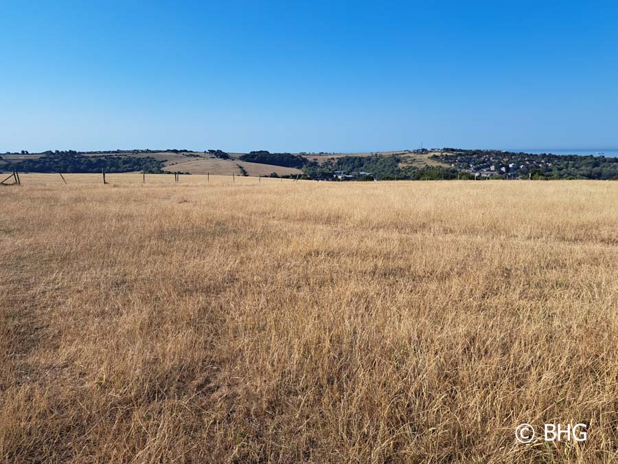 Bevendean Downs towards Race Hill 084817
