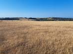 Parched Grass on Bevendean Downs Aug 2026