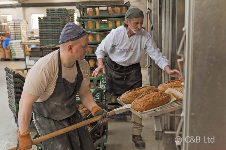Loaves of Bread image 1013290-2c