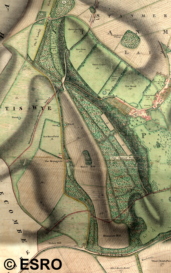 1800 Map of Coldean