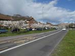Trees in Blossom by the Lewes Road May 2022
