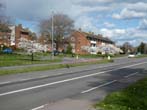 Trees in Blossom by the Lewes Road May 2022